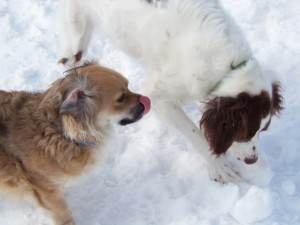 Uhmm snow is good ..