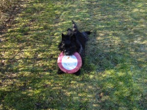 Hi guys.......I'm Bastian from Denmark, wish I could come play with you all......!! 