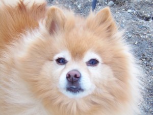 Good Day to you all - my name is Sophie
