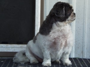 I'm Rosie from Shelly MN 