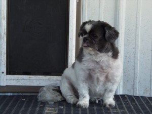 Oh well, I'll just sit here and enjoy the cool breeze....