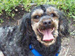 Hi !! I'm Pippa...I'm in Shelly MN for the week end.......