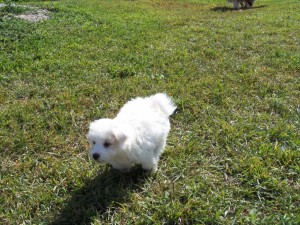 Catch me if you can!