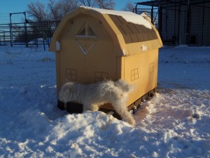 I like Thor's house....