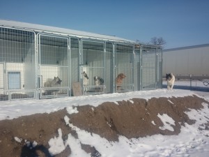 The Kennels facing south