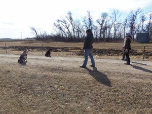 Sit & Stay with the Wuff Da's.....