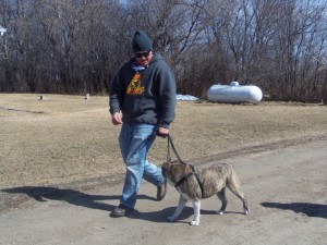 THE WALK with Titan