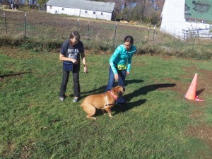 (Pia Megan & JoJo)How to get your dog's attention is important before you start training