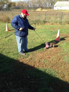 (Josh & Georgia)Give your dogs a job ! Making your training FUN