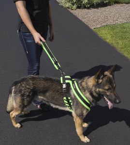 Ezwalk loop leash and harness